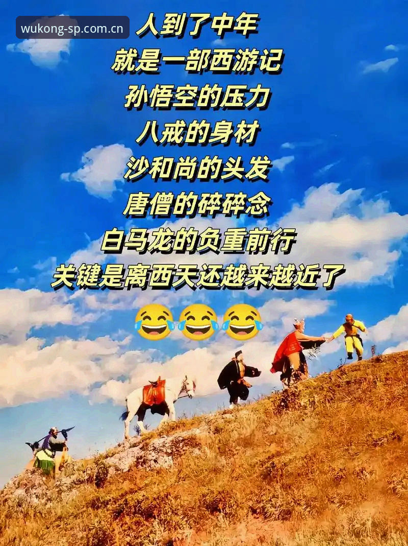 悟空体育APP苹果功能详解：iOS用户必备的实用操作指南